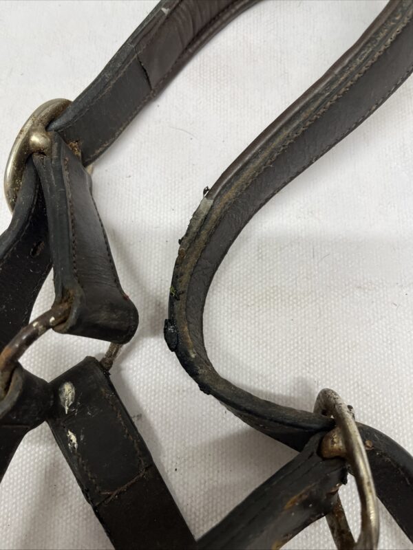 Full brown leather headcollar - Image 4