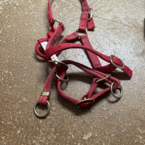Monty Roberts control head collar full