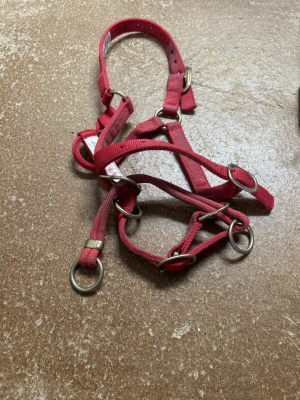Monty Roberts control head collar full