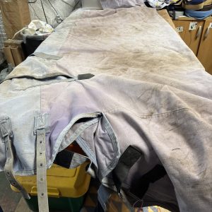 6’3 l/w turnout