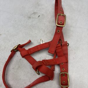 Foal headcollar