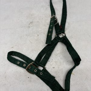 Full green headcollar