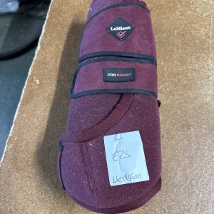 L Lemieux medicine boots