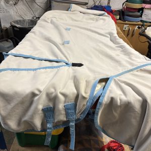 6’6 sweet itch combo rug