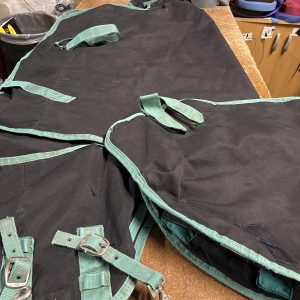 5’3 medium detachaneck turnout