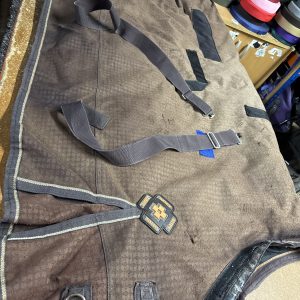 5’3 masta heavy turnout