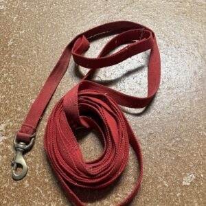 Red lunge line