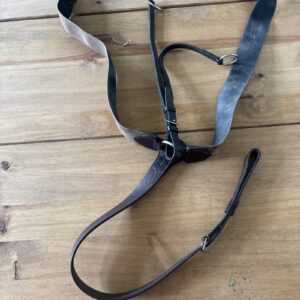 Full brown breastplate with running martingale attachment