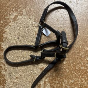 Foal leather head collar